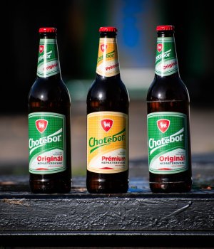 Pivo a víno